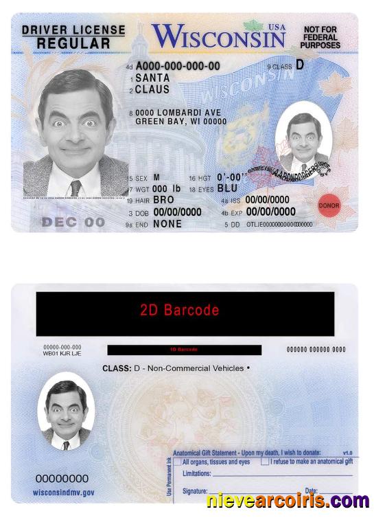 USA Wisconsin driving license